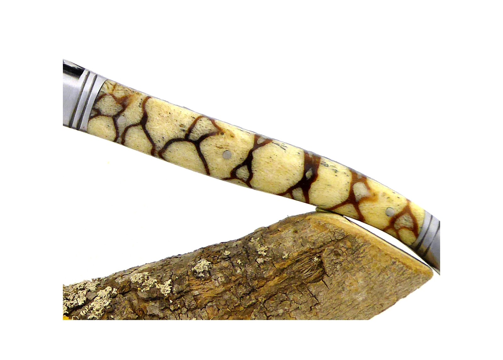 VENDU - Couteau Laguiole avec un manche en corail Fossile Tigré et une lame Damas