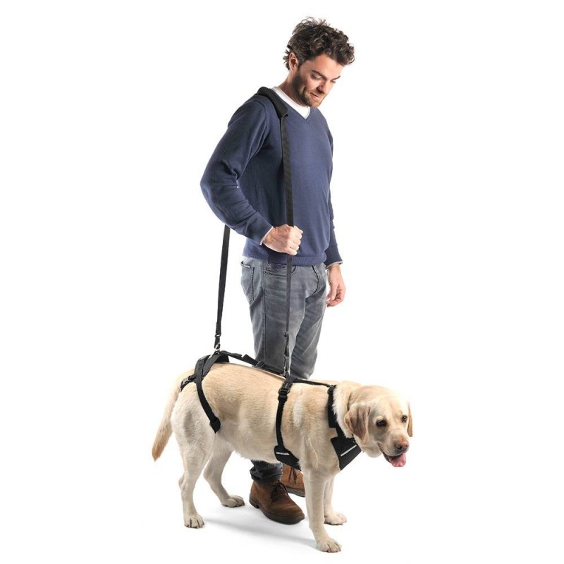Arnês de corpo inteiro para cães. Suporta as patas dianteiras e traseiras.