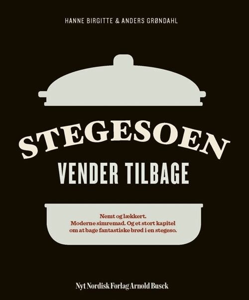 Stegesoen Vender Tilbage - Anders Grøndahl - Bog