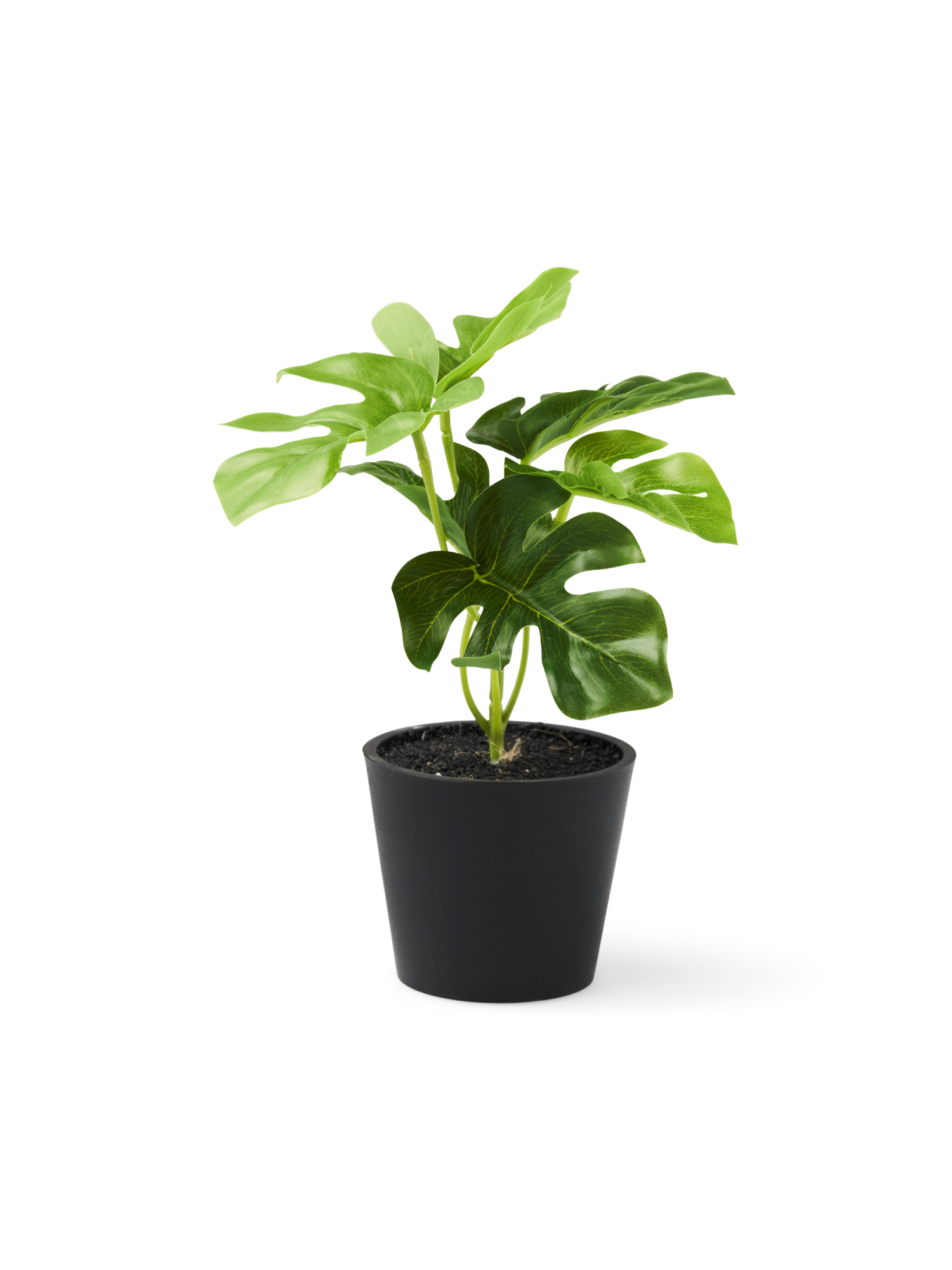 Kunstig monstera i potte | Ø7 x 6 cm. | Green