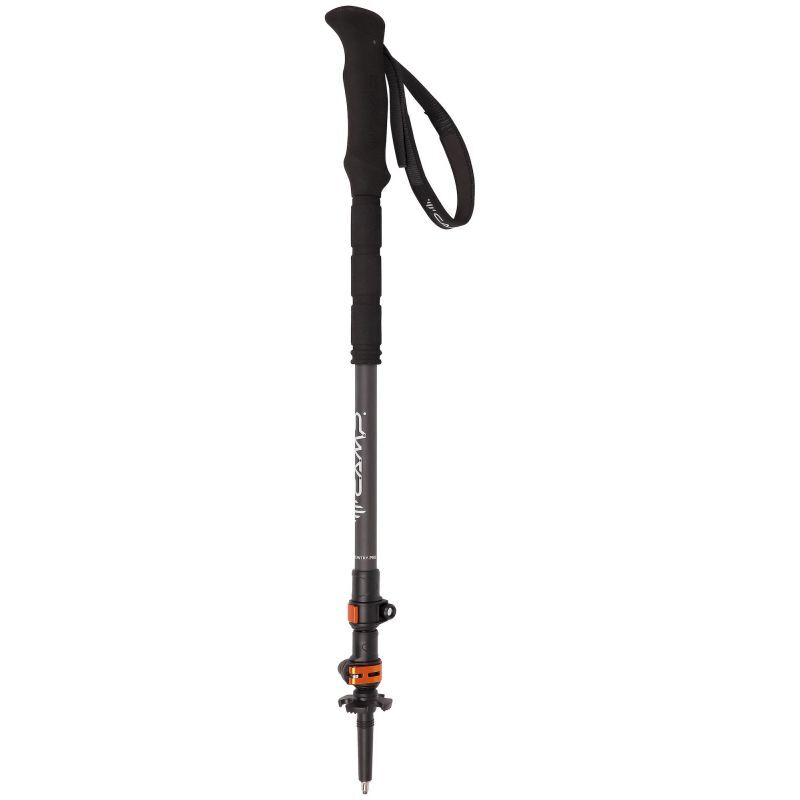 Backcountry Pro 2.0 - Bâtons randonnée
