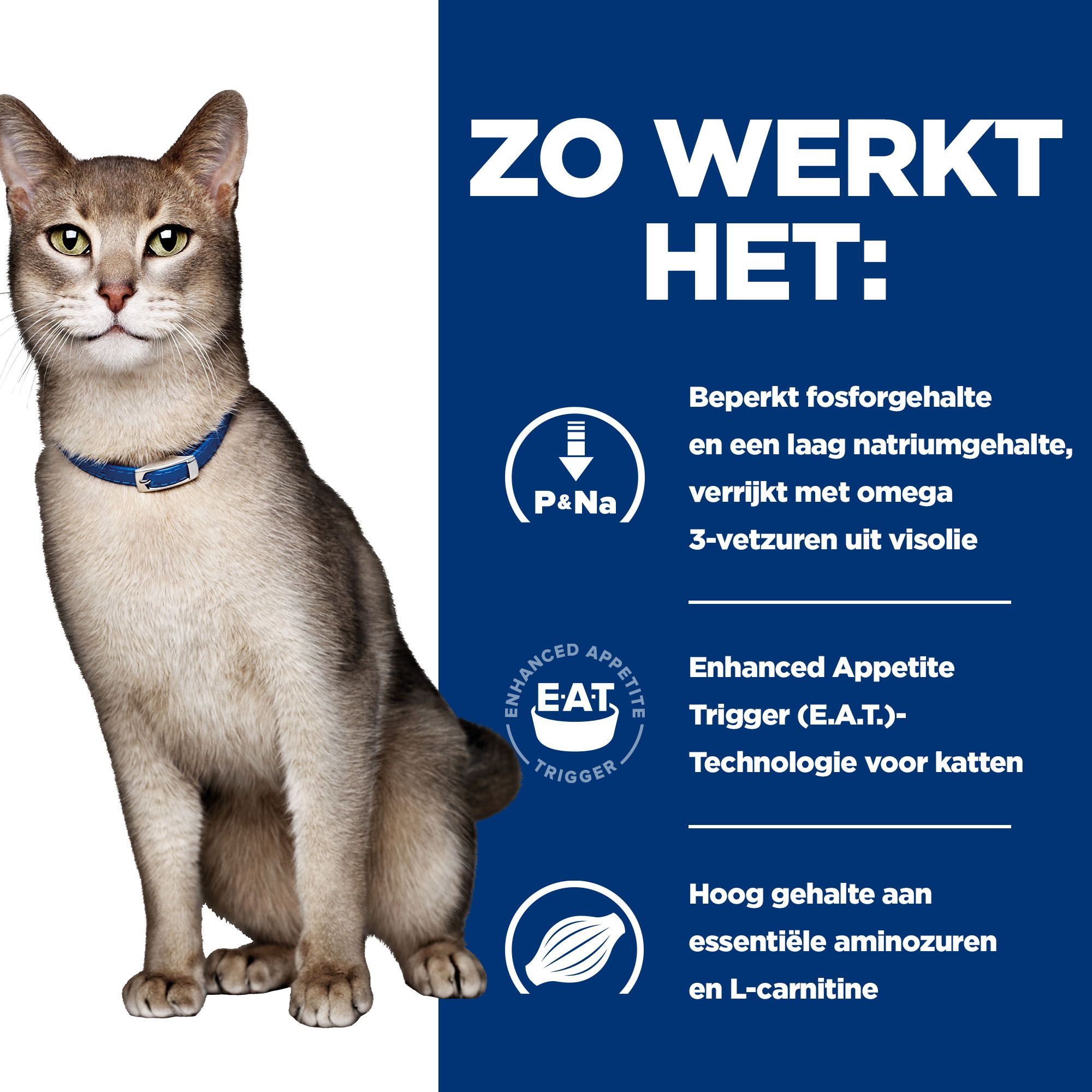 Hill's k/d Kidney Care - Prescription Diet - Feline - Blik - Kip