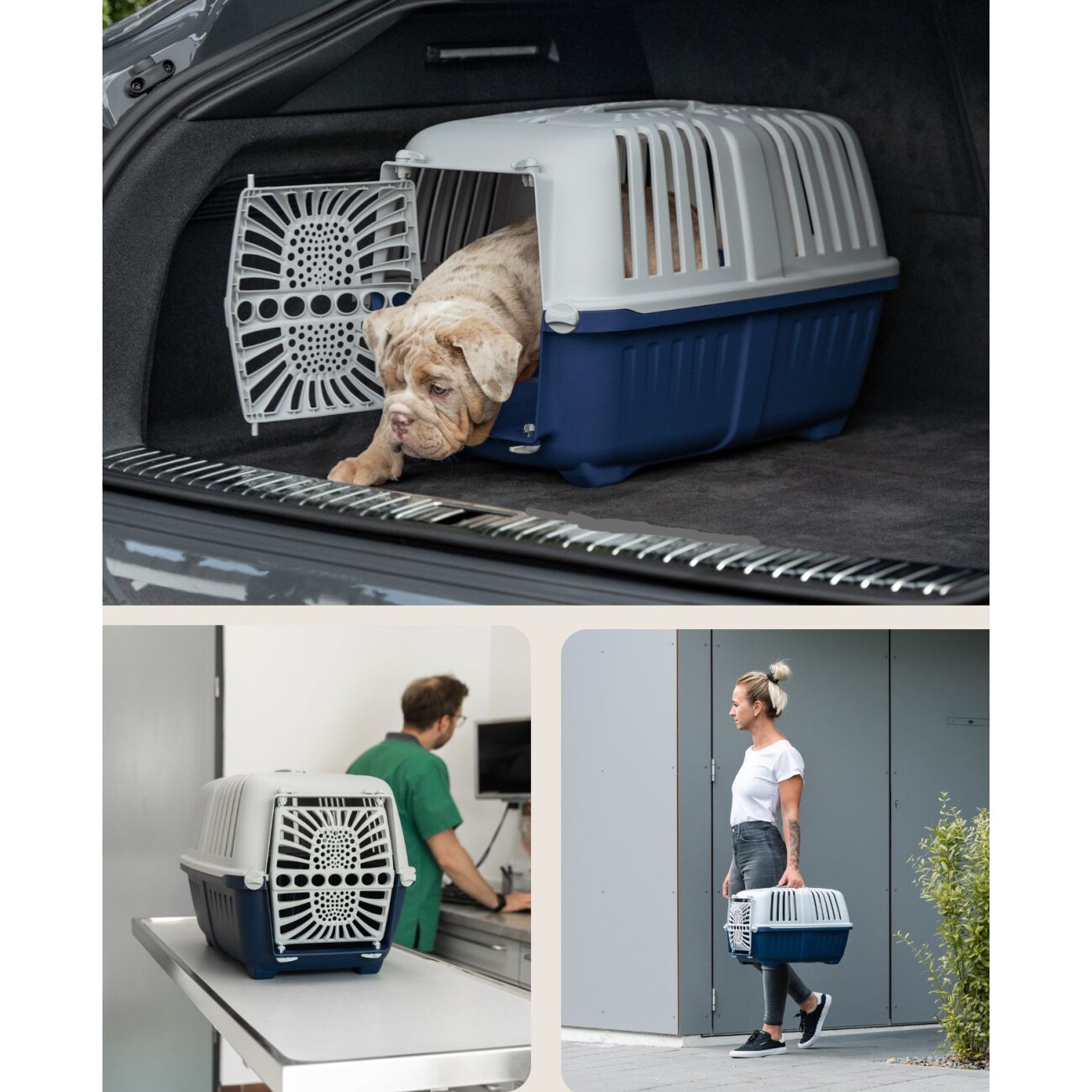 Lionto Transportbox aus Plastik dunkelblau S