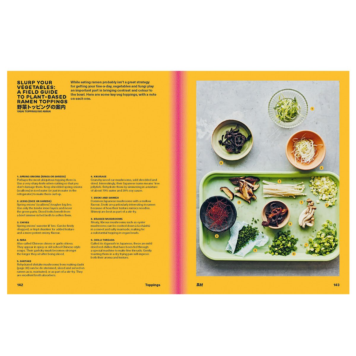 Ramen Forever: Recipes for Ramen Success (Hardback)