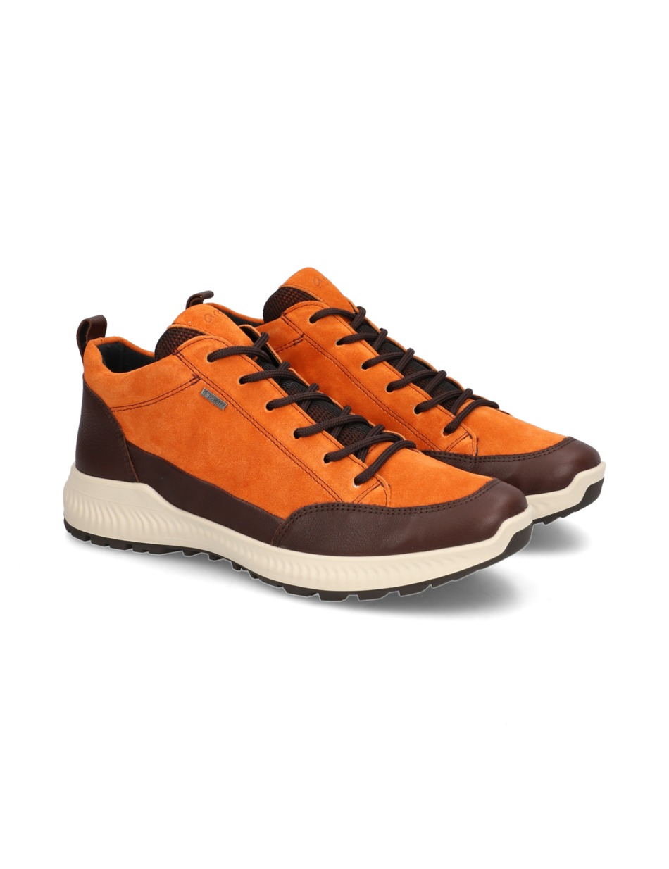 Hiker- GoreTex