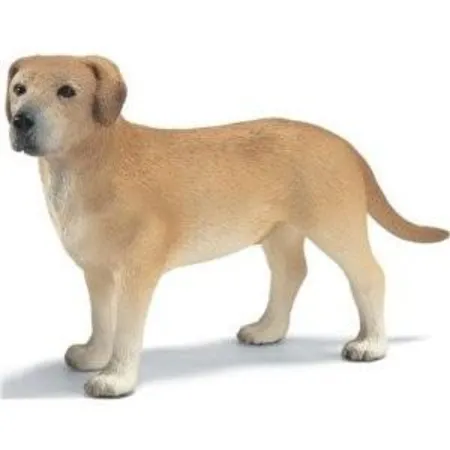 Schleich® 16386 Labrador Rüde