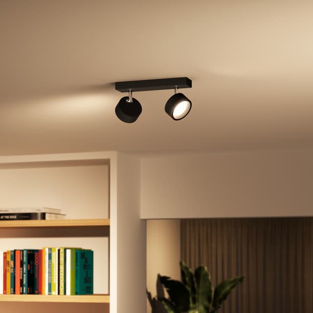 Philips Bracia spotlys 11 W
