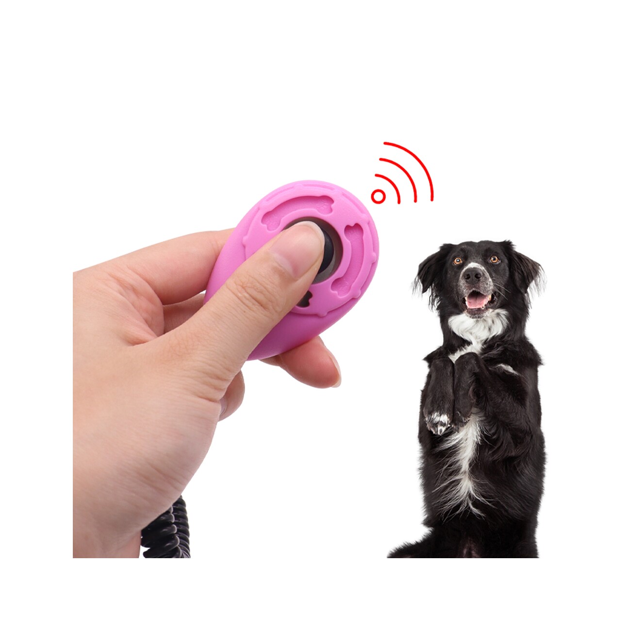 Petsation Clicker + Pfeife grün