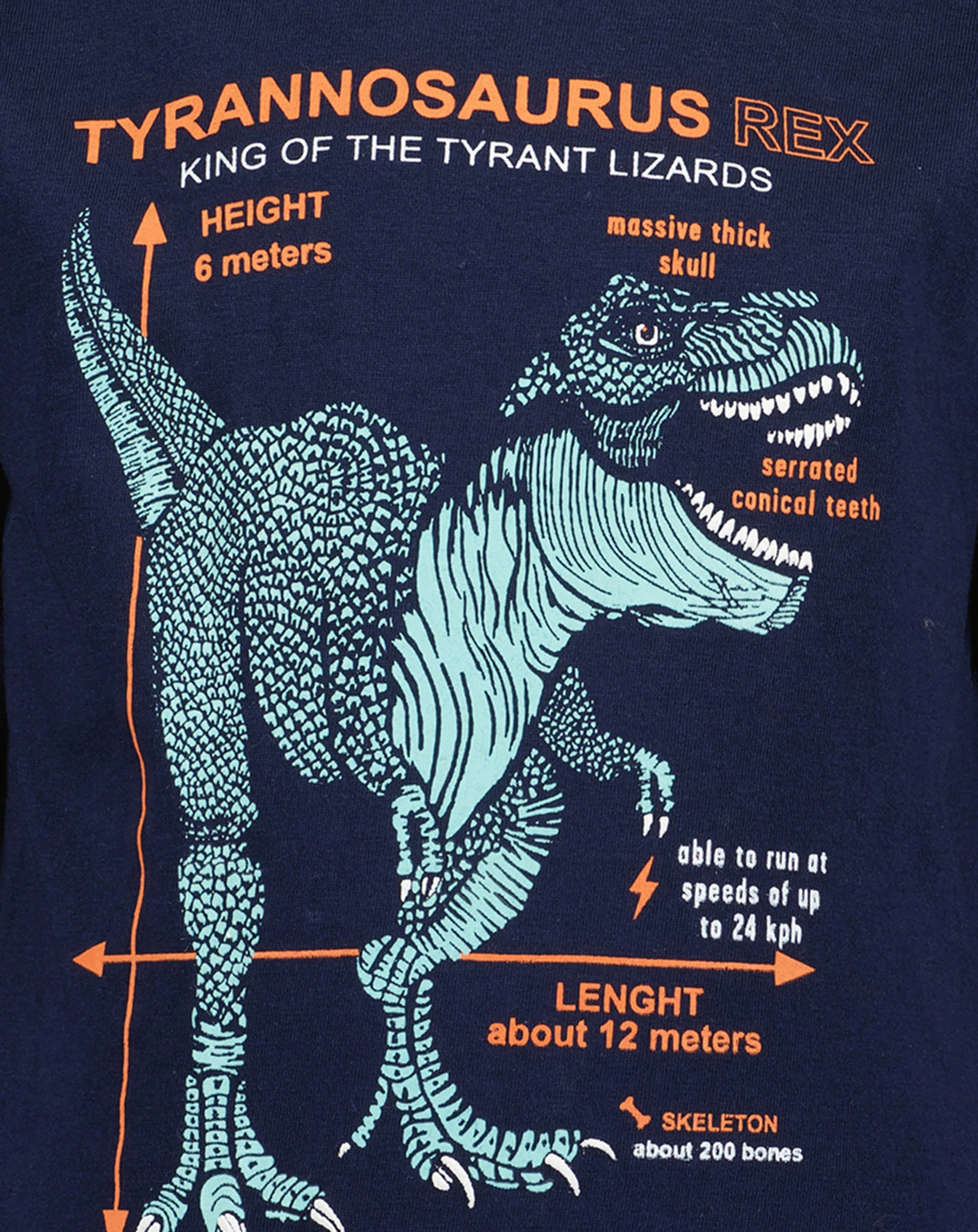 Langarmshirt TYRANT LIZARD in ultramarin