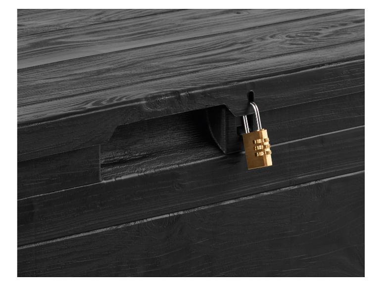 Opbergbox tuin 270 L