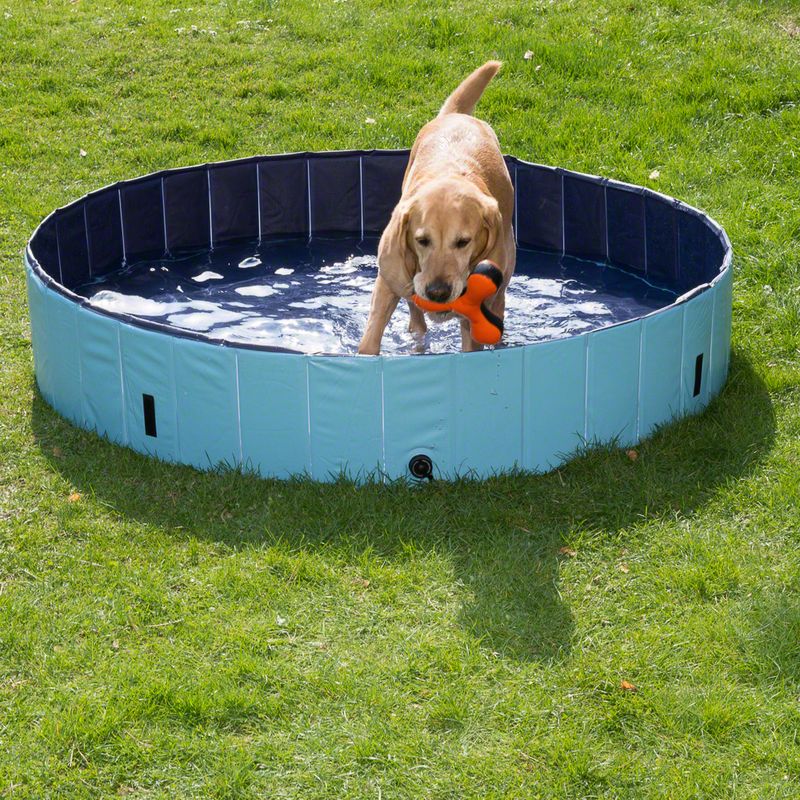 Piscine Dog Pool Keep Cool