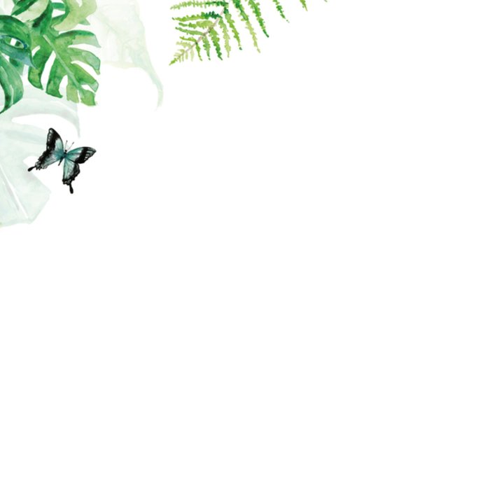 Michelle Dujardin | Verjaardag | Zus | Jungle