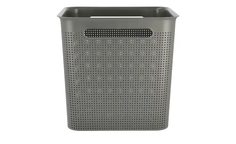 Rotho Aufbewahrungsbox 29 cm