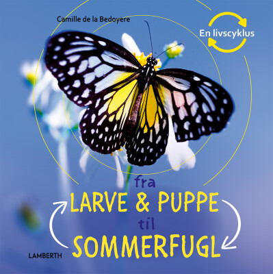 Fra Larve Og Puppe Til Sommerfugl - Camilla De La Bédoyére - Bog