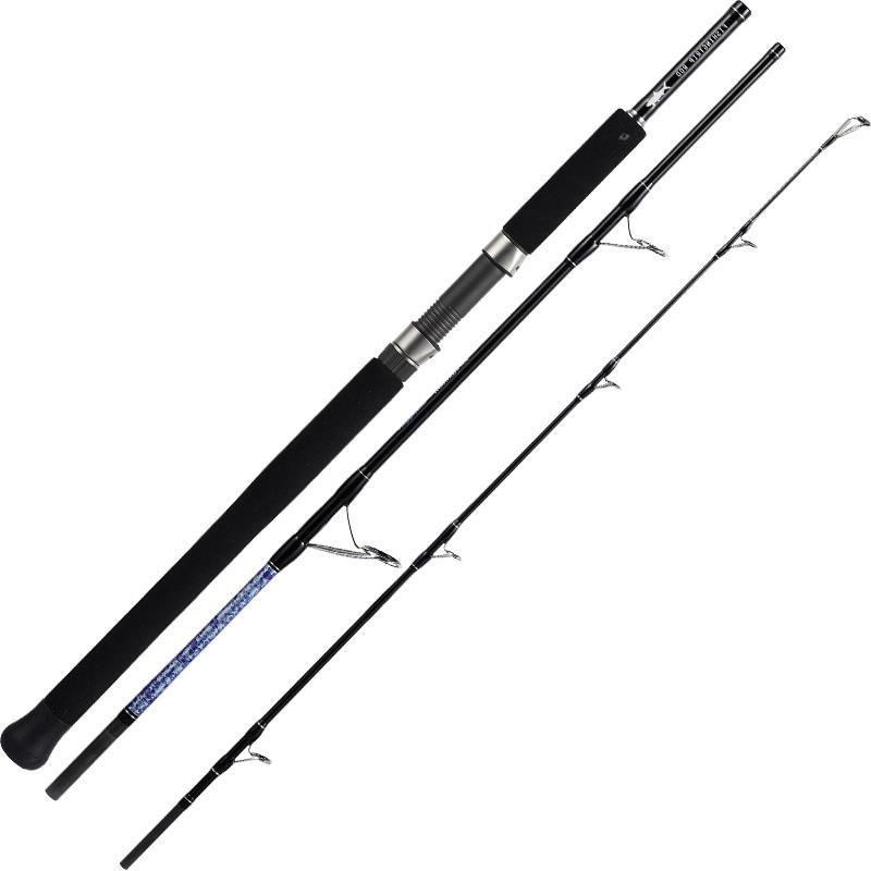 Canne Smith Dragonbait Sea-Bass Faraway