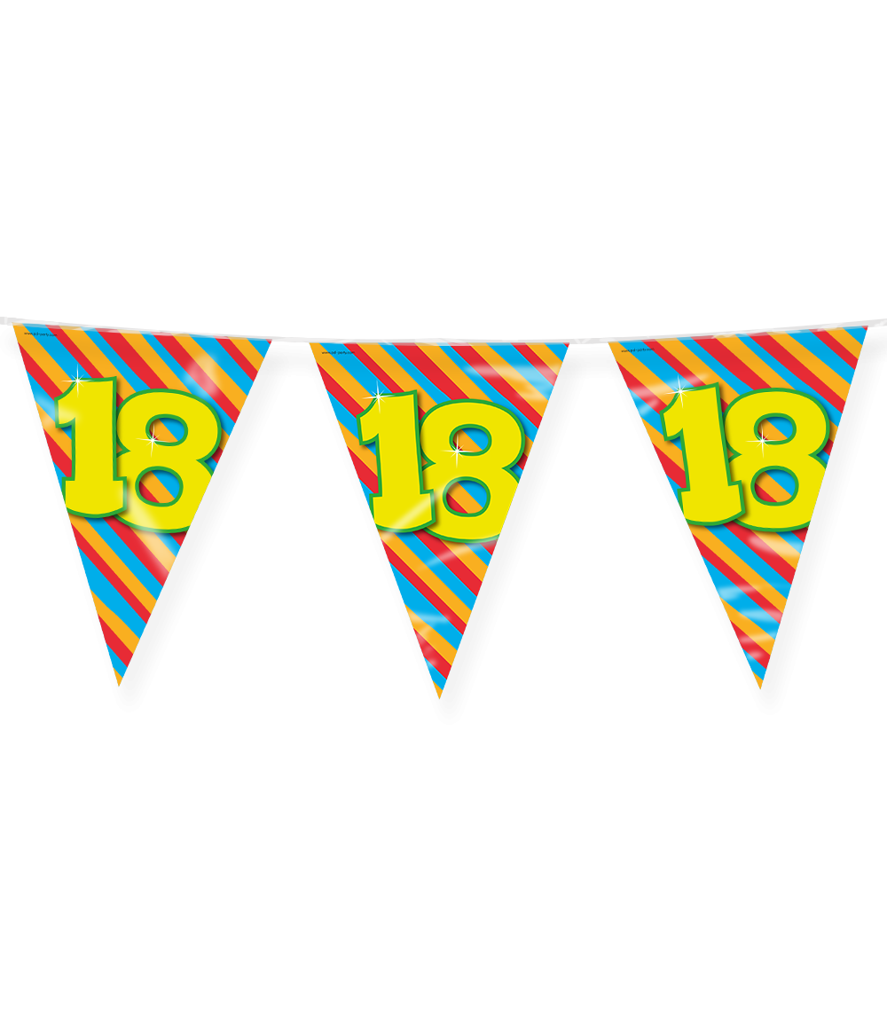 Vlaggenlijn 18 Jaar Gekleurd 10m