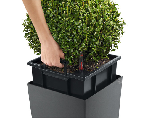 Lechuza Cubico 30 plantenbak complete set H 56 cm zilver incl. zelfbewateringssysteem, planteninzet, substraat en waterniveau-indicator