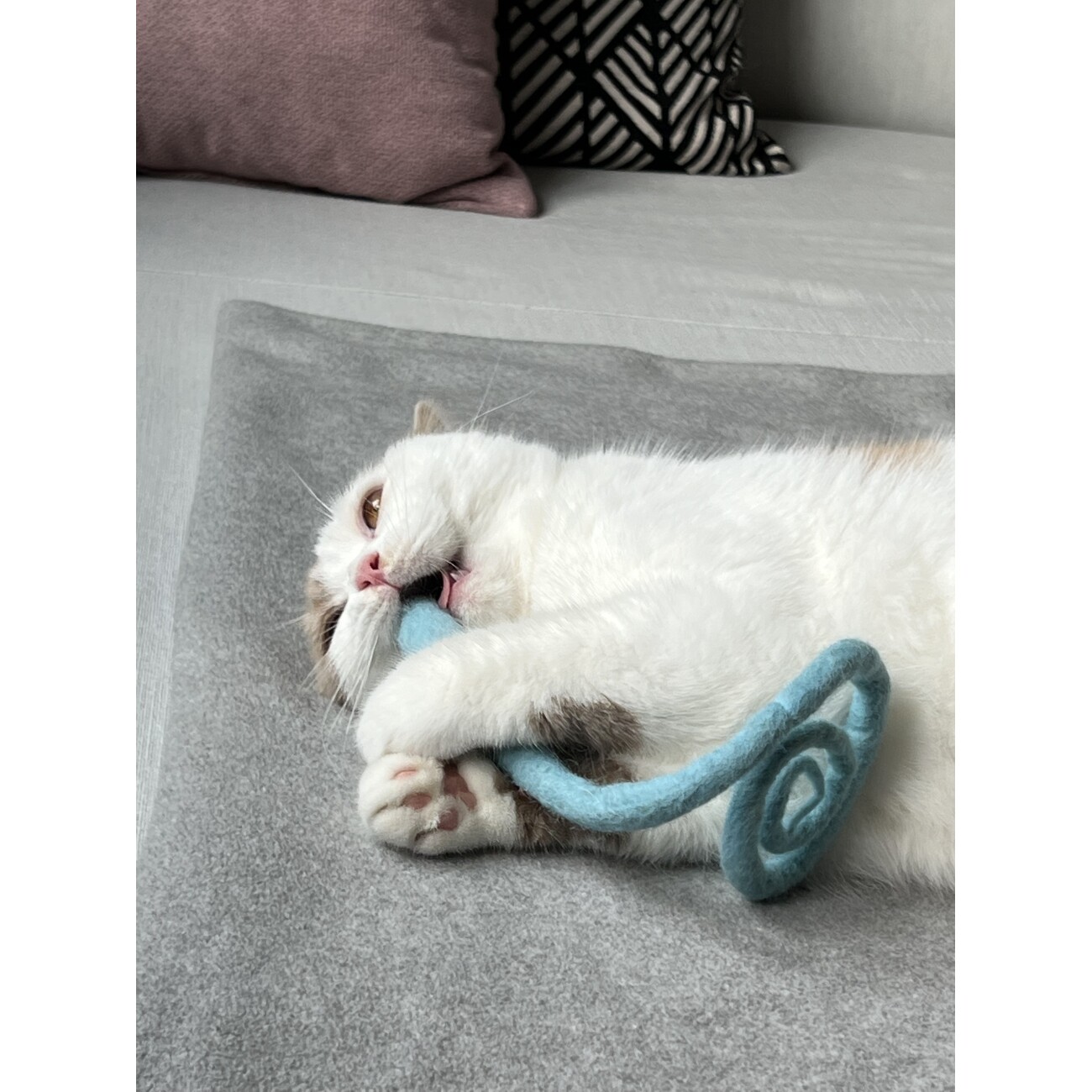 Kater Kasimir XL Filzschlange (handgerollt, ca. 50cm) aus echtem Wollfilz in GRAU