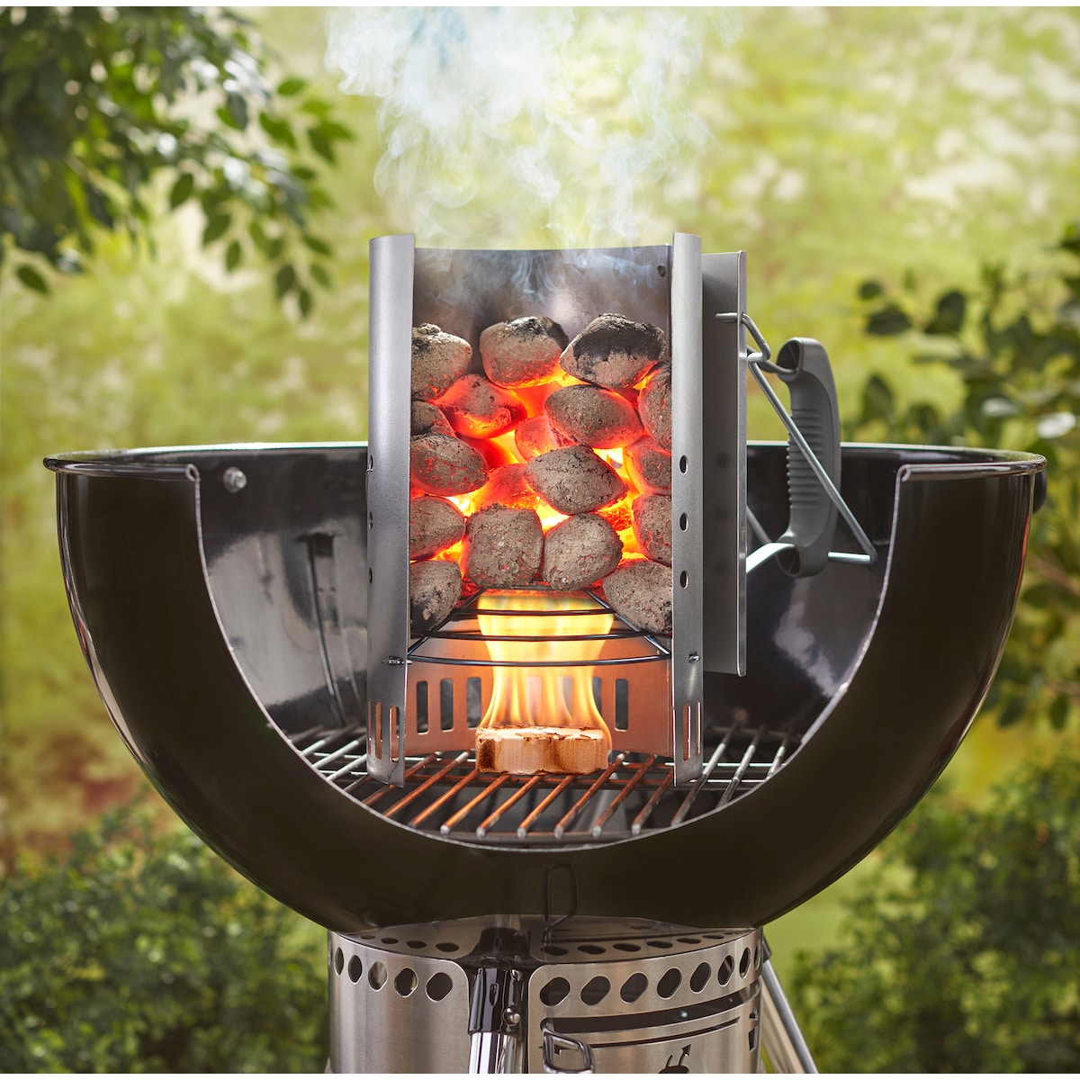 Weber briketter 4 kg 17590