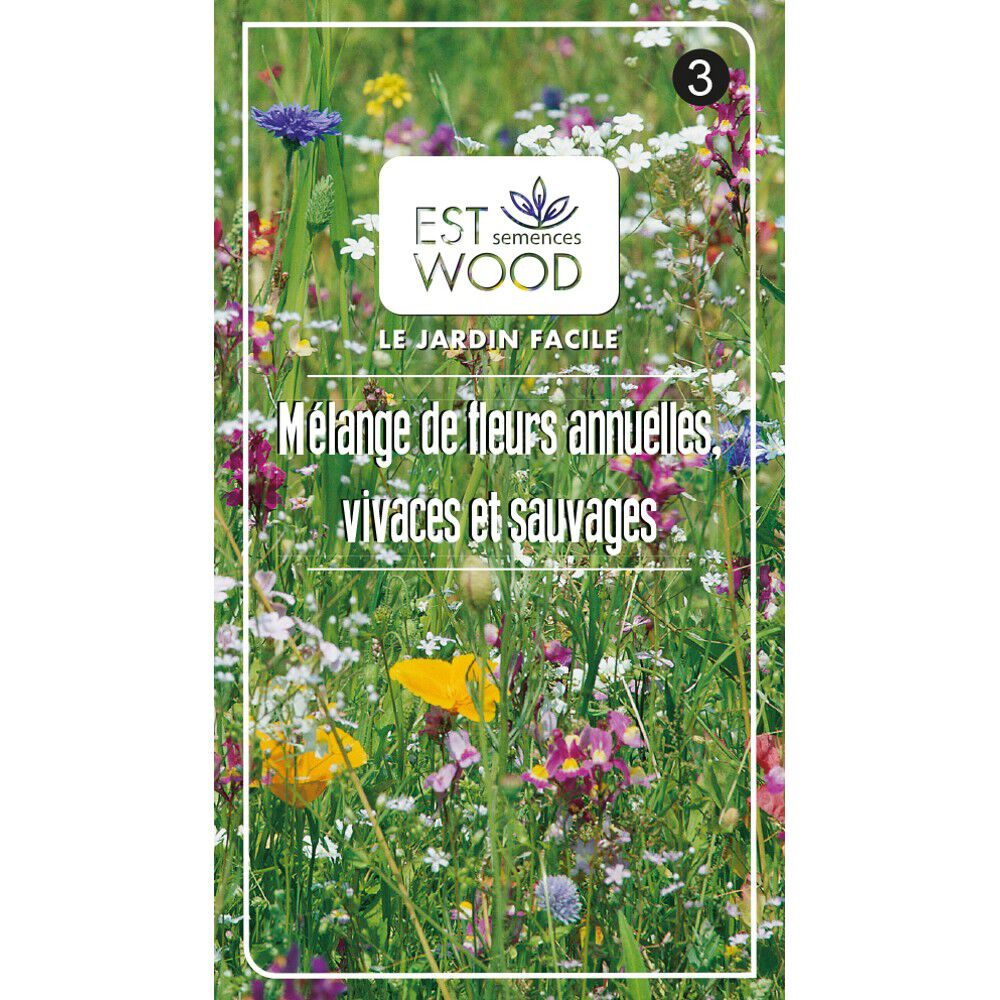 Semence de mélange de fleurs annuelles et vivaces fleurs sauvages