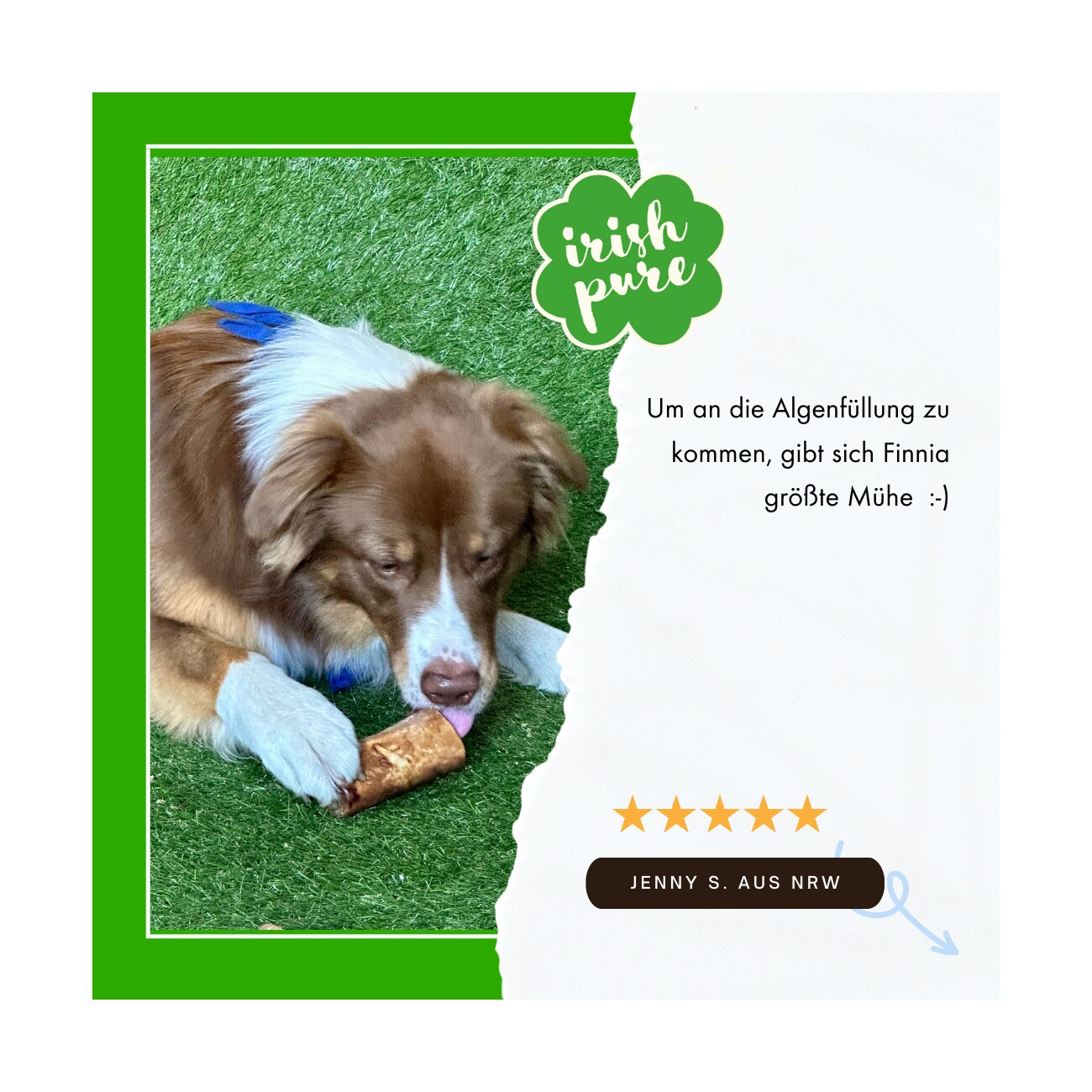 Irish Pure Filled Smoked Bone mit Kelp