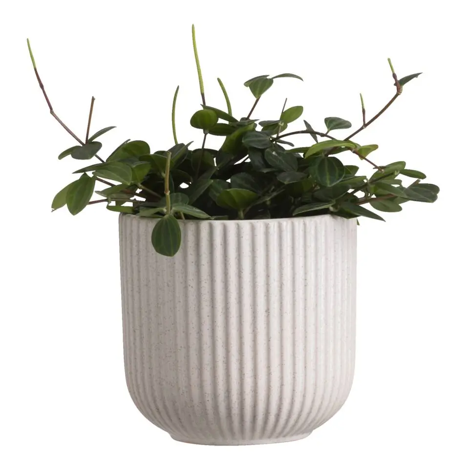 Bloempot Ribe - grijs - keramiek - 14xØ14,5 cm