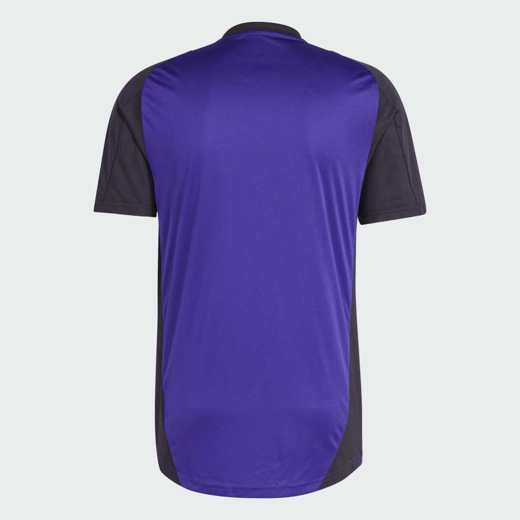 Adidas DFB TR JSY
