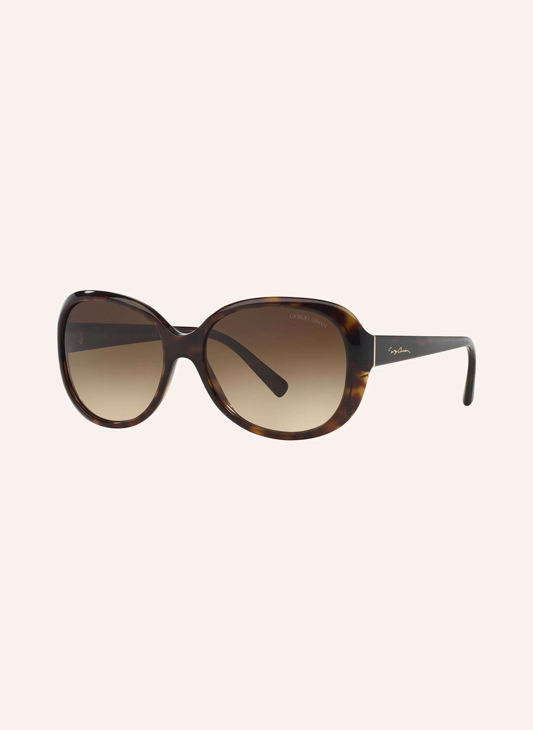 GIORGIO ARMANI Sonnenbrille AR8047