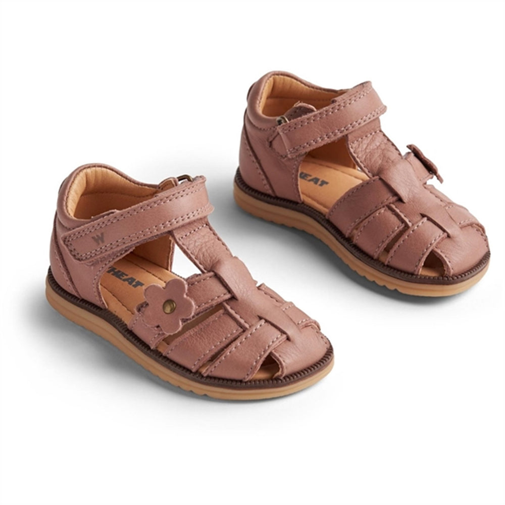 Sandal Closed Toe Sky Flower Old Rose