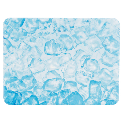 Trixie Kühlplatte für Hamster 20x15cm blau