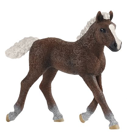 Schleich Dyr - H:9 cm - Blåck Forrest F?l 13899