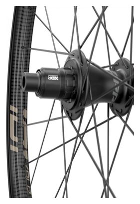 Roue Arrière Zipp 101 XPLR Tubeless 700 Disc | 12x142mm | Centerlock | Noir et Beige Kwiqsand