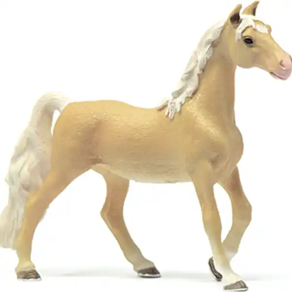 American Saddlebred Stute 13912