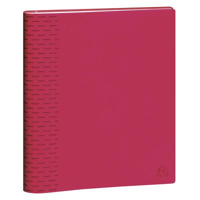 Agenda Winner - 1 semaine sur 2 pages - 15 x 21 cm - disponible dans différentes couleurs - Exacompta