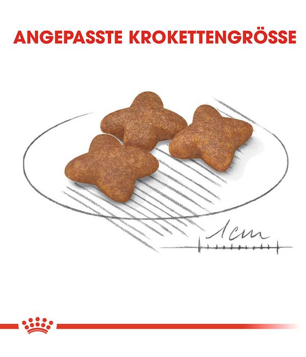 ROYAL CANIN® Trockenfutter für Hunde Mini