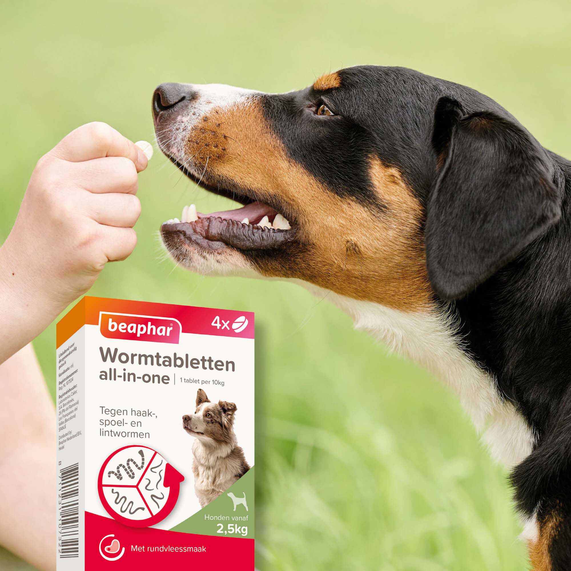 Beaphar All-in-one Tabletten - Ontwormen Hond - 4 Stuks - M