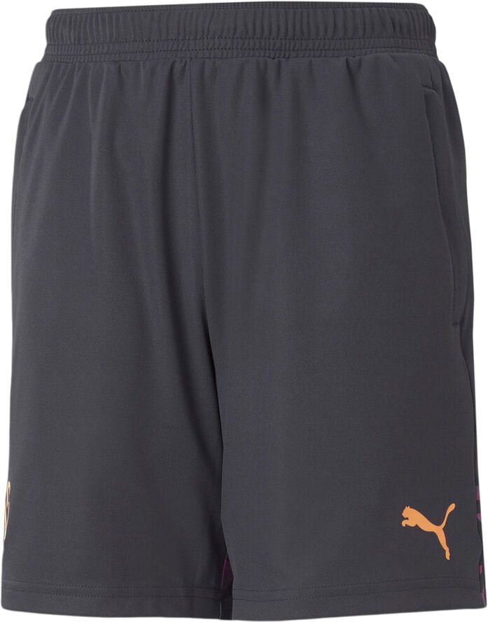 Puma Neymar Jr Flare træningsshorts Blå