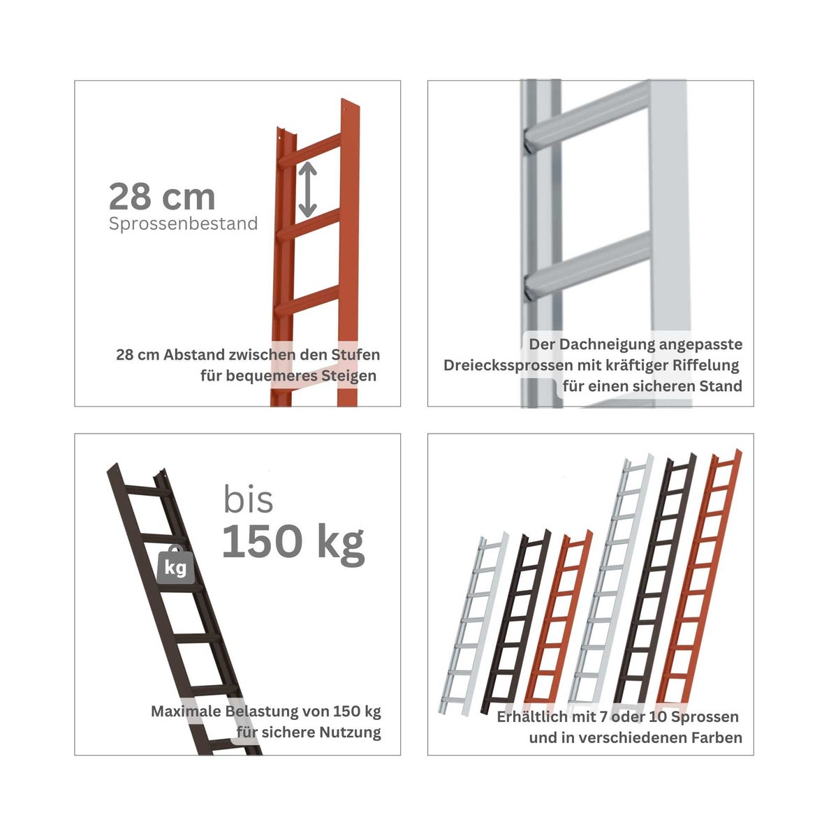 PROREGAL Dakladder Rood 7 Sporten