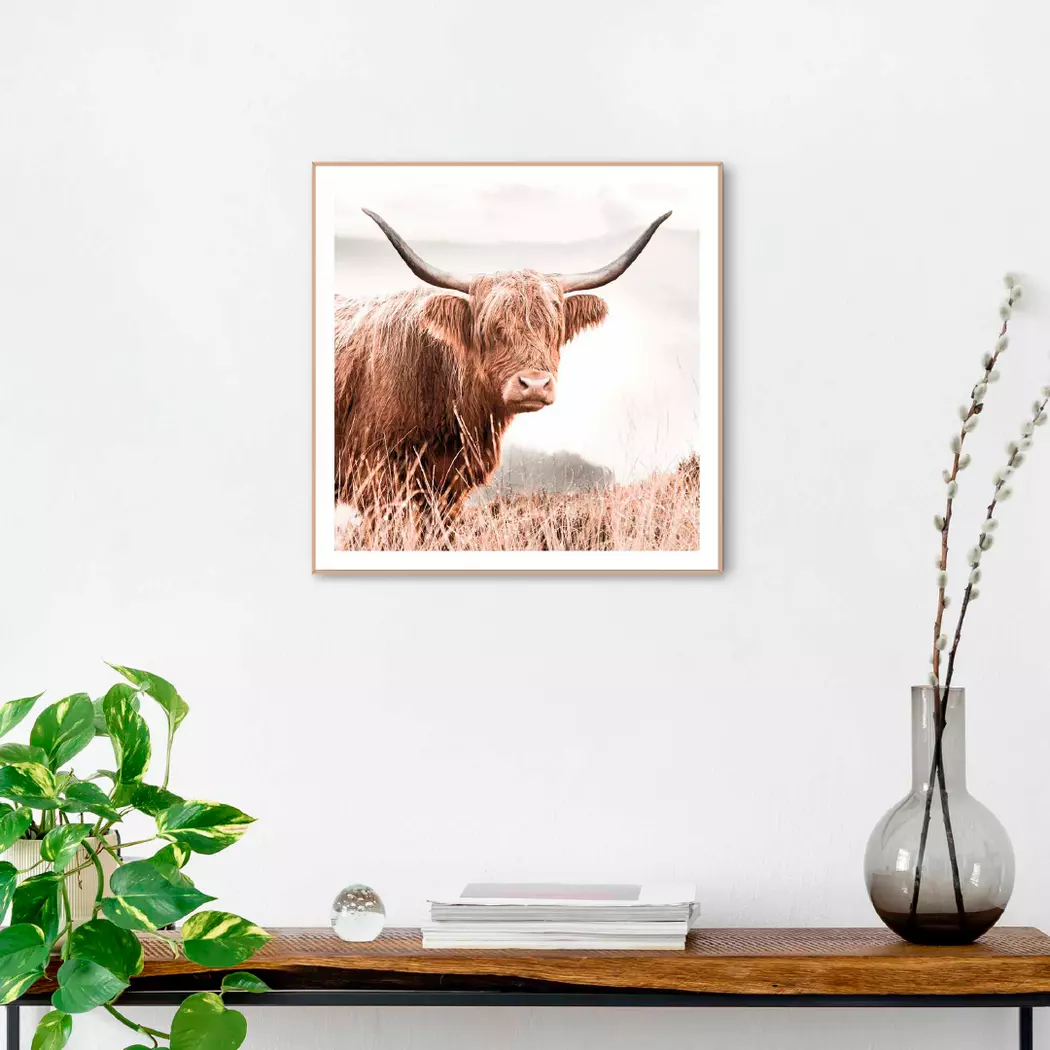 Wandbild 50 x 50 cm Highlander