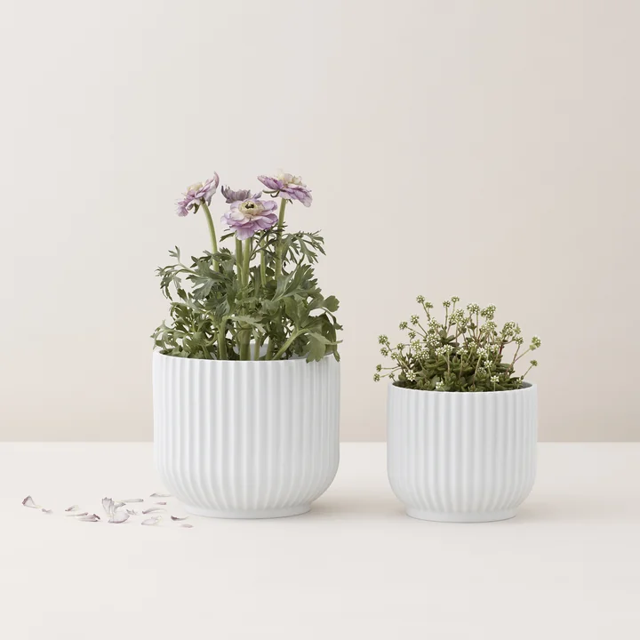 Lyngby Porcelæn - Blumentopf, weiss, L