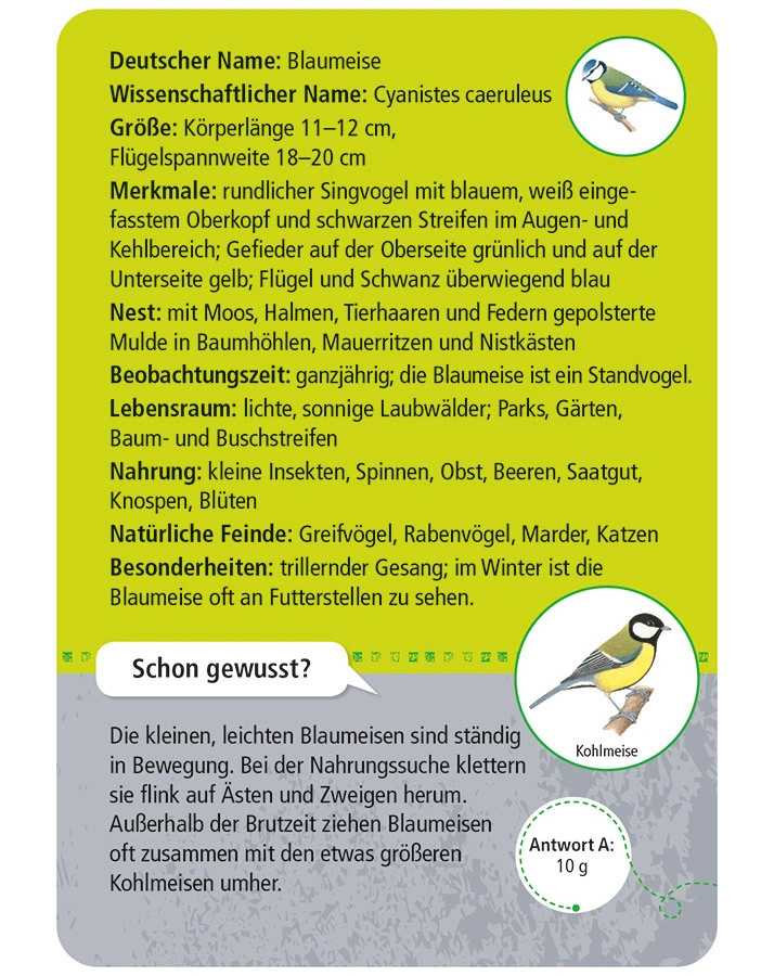 Bestimmungskarten 50 HEIMISCHE TIERE IN STADT & GARTEN in bunt