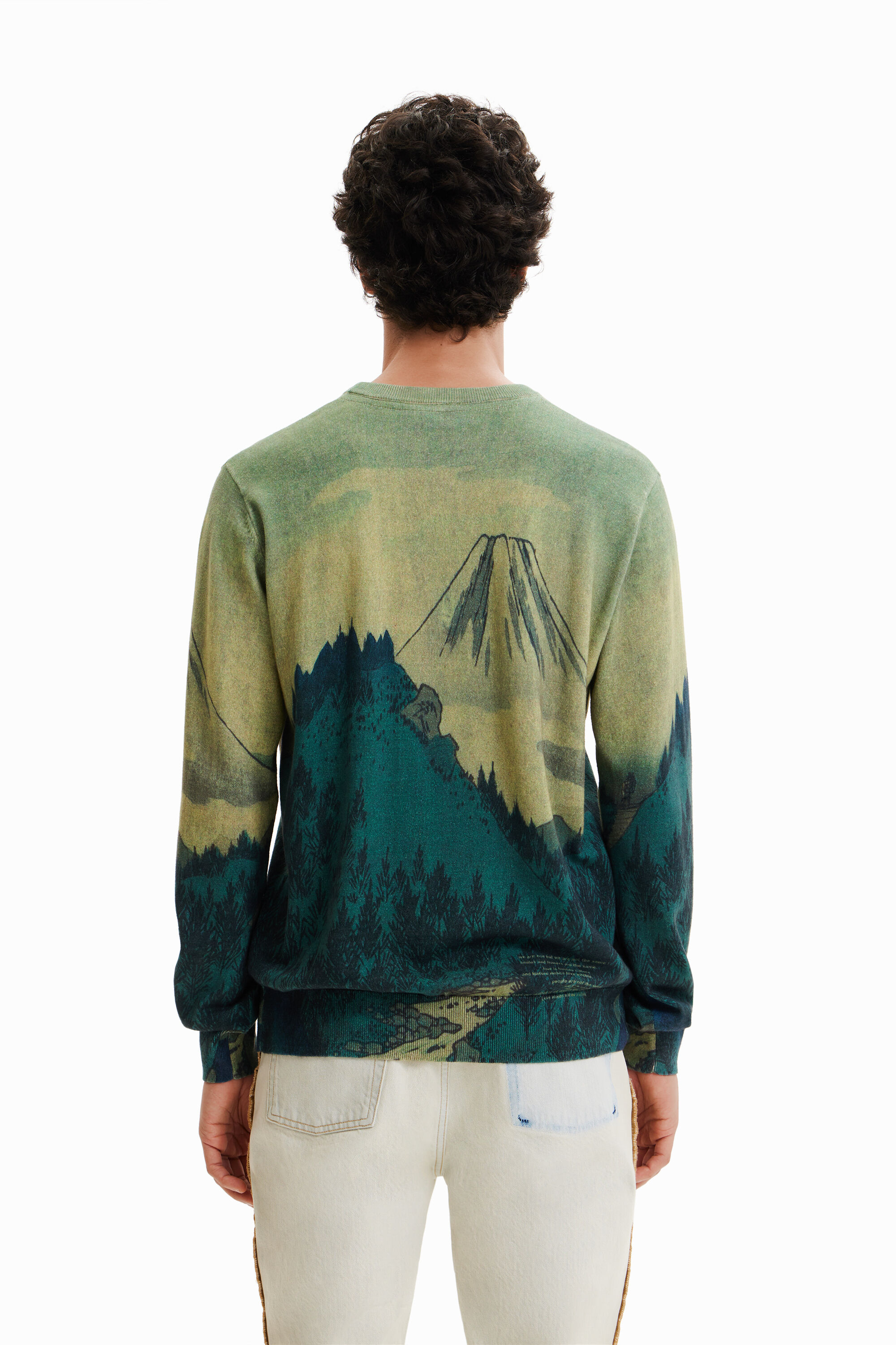 Pull fin paysage