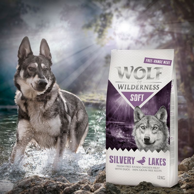 Wolf of Wilderness Mini Soft Silvery Lakes poulet, canard pour chien
