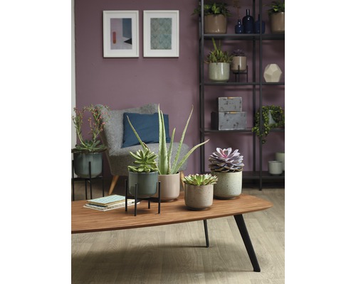 Soendgen Bari Glamour bloempot, H 12 cm, Ø 13 cm, bordeaux mat