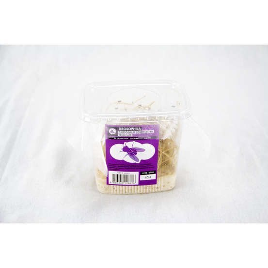 Drosophiles pour alimentation reptiles