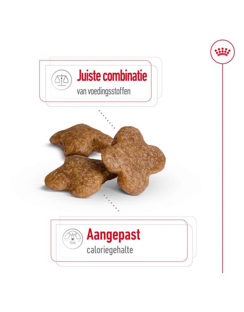 Royal Canin Mini Adult 8+ - Hondenvoer