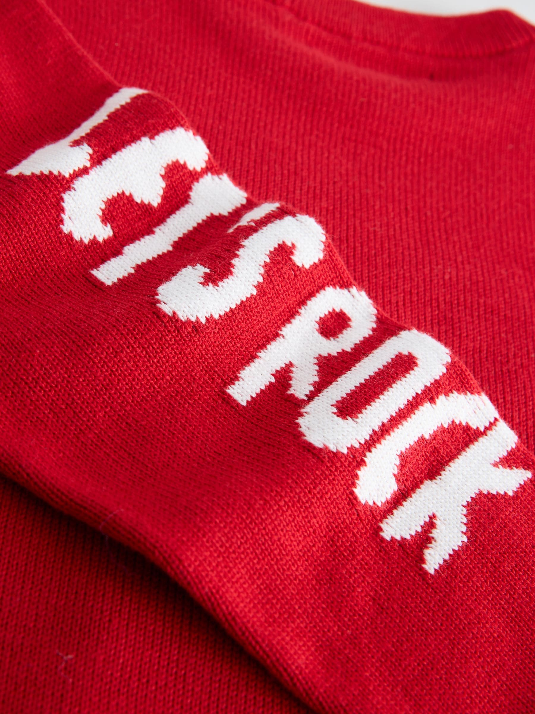 Rood rendier - Kersttrui (3 - 16 jr)