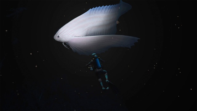 Nintendo Switch Spielesoftware »Endless Ocean Luminous« Nintendo Switch