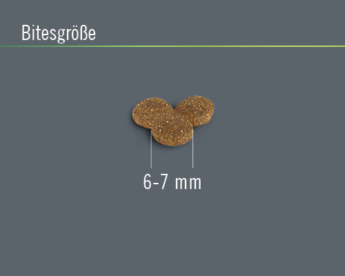 Droog hondenvoer Adult Dog S FINEVO Kip 8 kg
