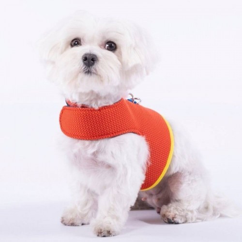 Coleira para cães Yuki, laranja